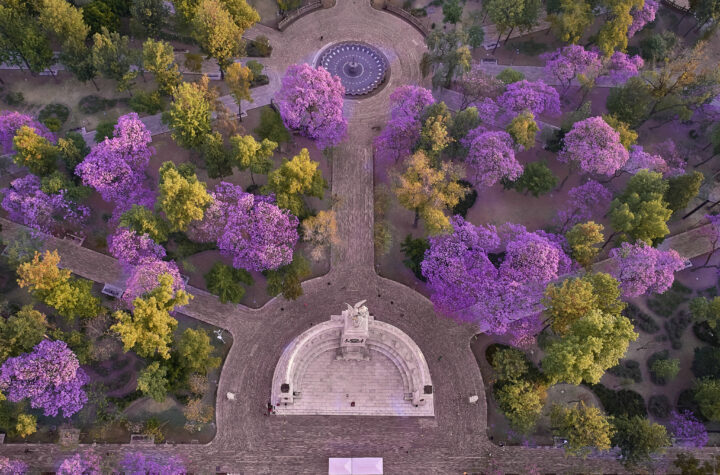 FYJA presenta Inmersiones